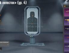 Ак в пабге