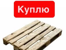 Куплю ЕВРО палеты ! 