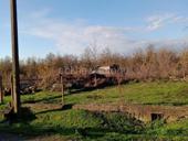 Гулрыпшски р-ион, Агудзера,срочно продается земельный участок 18сотых,или возможно обмен на машину , 