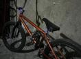 BMX срочно
