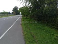 Участо 50соток улица Эшба центральная дорога  Напротив виноградника 