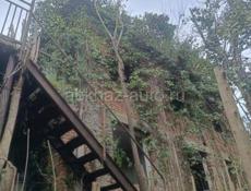 ул. Ласурия 28 участок 5 соток