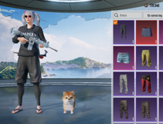 Pubg