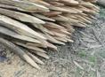 Колышки 