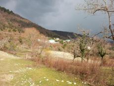 Участок на Чанба срочно рядом Монастырь 