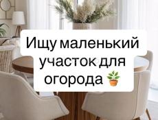 Ищу небольшой участок 