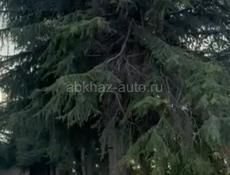 Ровный Участок с подъездом  в 5 мин от границы 