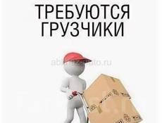 Требуются грузчики