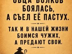 Ищу дом или квартиру на длительный срок недорого 15000