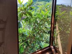 Срочно ‼️