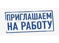 Требуются в продуктовый магазин Золотой Колос,,,,кассиры ,,,консультанты в отдел хлебный и конфетный ,,,,,