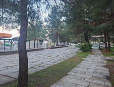 Сдам в аренду торговую точку