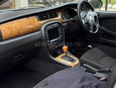 Jaguar