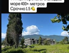 Гагра Алахадзе 10 соток