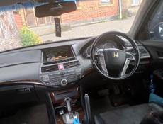 Honda Inspire