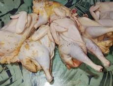 Продаётся чищенные куры и цыплята