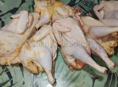 Продаются куры домашние и цыплята и утки 