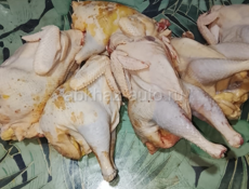 Продаются куры домашние и цыплята и утки 