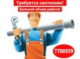 Требуются сантехники 
