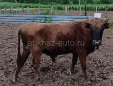 На продажу!