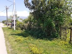 Продается Участков с Домиком в шаговой доступности от Моря