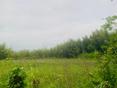 Очень срочно 