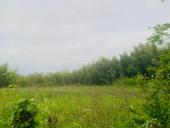 Очень срочно 