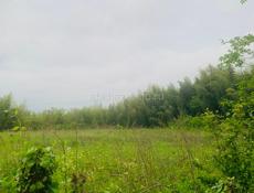 Очень срочно 