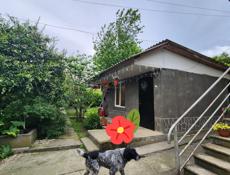Продаю дом  и земельный участок