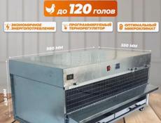 Брудер для цыплят на 120 голов 