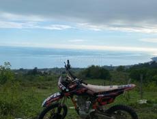 Arctic Cat