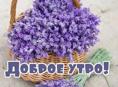 Сниму