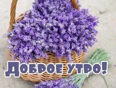 Сниму