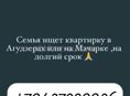 Семья ищет квартиру 
