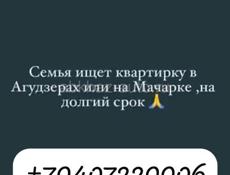 Семья ищет квартиру 