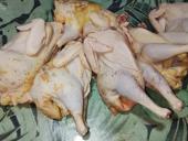 Продаётся цыплята и чище не кури