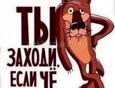 Нужна квартира на долгий срок в Гаграх на круглый год а может и больше 