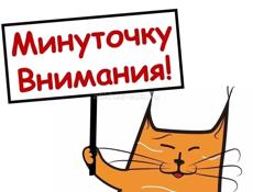 Ищу работу