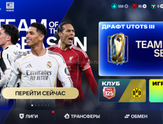 ФИФА акк