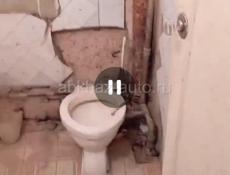 сдам однушку новый район