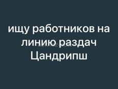 ищу работника на линию раздач Цандрипш 