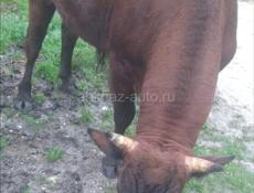 Продаётся