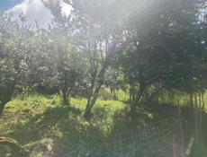 Чанба срочно участок,  9 соток, собственный