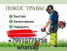 Покос травы