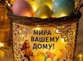 Срочно нужен музыкант