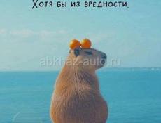 Р
