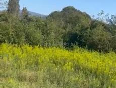 У границы, под производство 