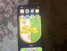 Xs max 256Г