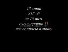 13 мини 