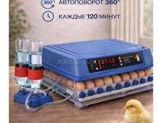 инкубатор 